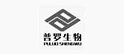 山東網(wǎng)站建設(shè)